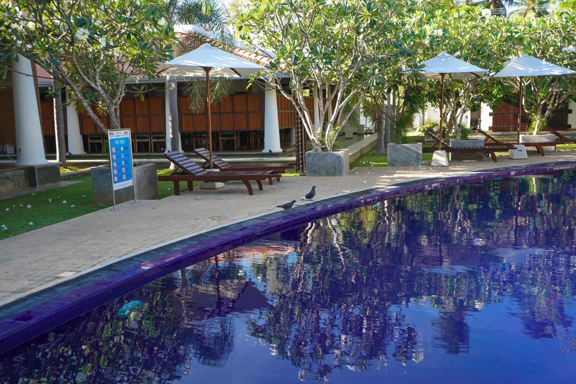 Hotel Tamarind Tree Tissamaharama Exteriör bild